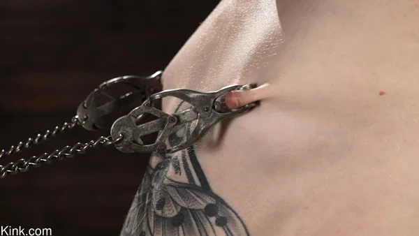 Tattooed girl Lydia Black is masturbated while suspended in bondage  - BDSM, Canadian, Bondage, Cute, White, Teen, Brunette  - Photo 6