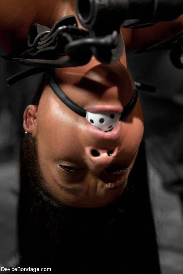 Horny ebony babe Skin Diamond gets restrained & toyed in metal bondage action  - Bondage, Dildo, BDSM, Pussy, Spreading  - Photo 5