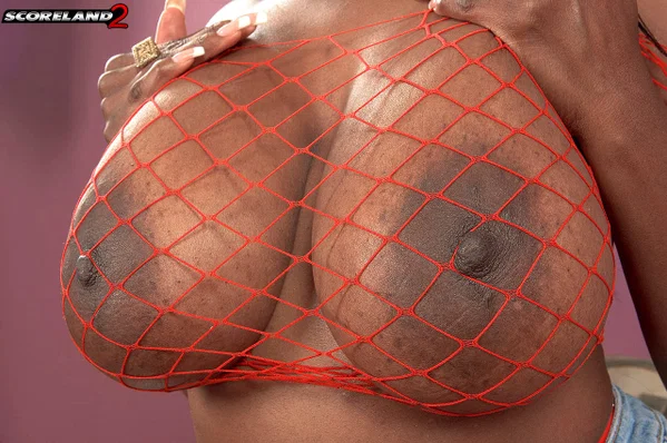 Ebony MILF Camille Morgan unveils great tits to model naked in red fishnet  - Ebony, MILF, Big Tits, African, Shorts, Black, Brunette, Spreading, Pussy, Natural Tits  - Photo 9