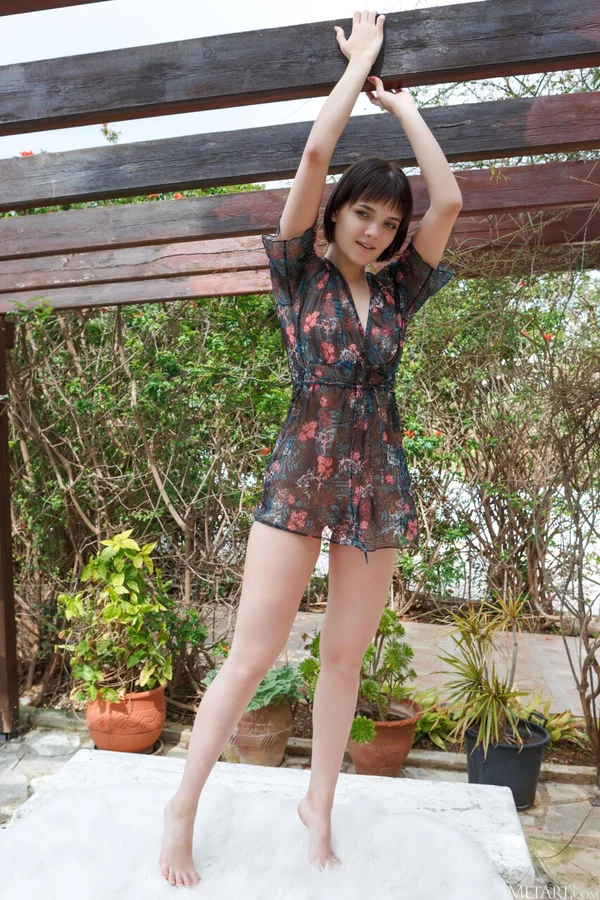 Met Art performed by Chanel Fenn Sex Pictures  - Cute, Teen, Model, Babe, Glamour, Brunette, Sexy, Beautiful, Solo  - Photo 4