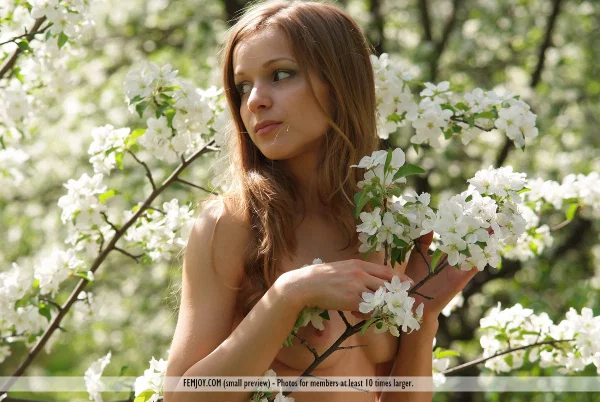 Beautiful girl Conny picks a bunch of flowers while naked in the woods  - Outdoor, Babe, European, Tiny Tits, Ass, Glamour, Legs, PAWG, Model, Beautiful  - Photo 9