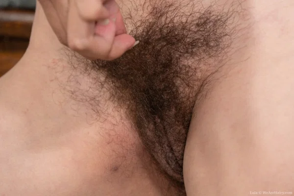 Amateur girl with nice tits Lula rubs her hairy vagina in the kitchen  - Latina, MILF, Hairy, Amateur, Pussy, Spreading, Kitchen, Panties, Brunette, Babe  - Photo 8