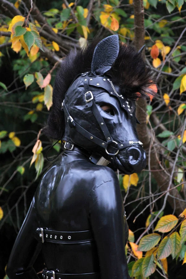 Kinky slut posing outdoors in a horse mask and a full-coverage latex outfit  - Latex, Fetish, BDSM, Bondage, Schoolgirl, Outdoor, Non Nude  - Photo 5