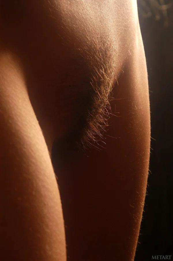 Met Art starring Cassandra A Sex Gallery  - Hairy, Teen, Cute, Glamour, Model, Blonde, Babe, Beautiful, Solo  - Photo 9