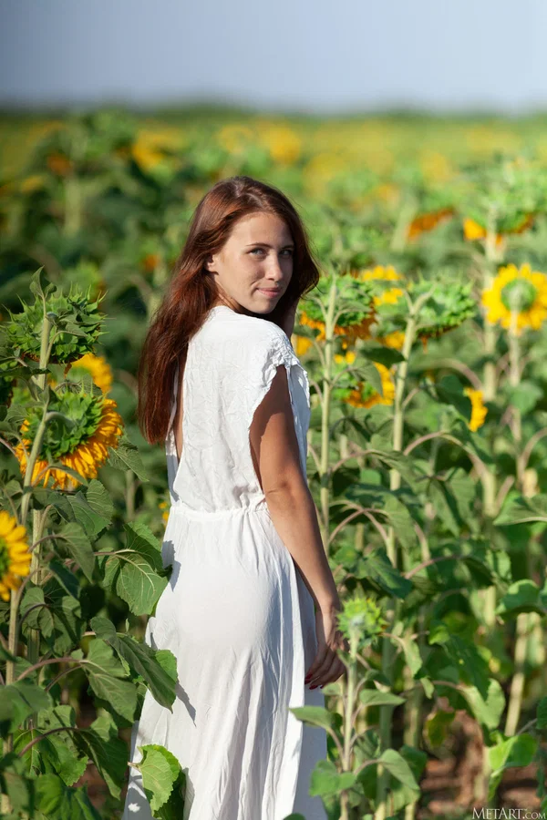 Slim girl removes a white dress for nude poses in a field of sunflowers  - Outdoor, Redhead, Tiny Tits, Ass, Skinny, Spreading, Clothed, Asshole, Glamour, Model  - Photo 1