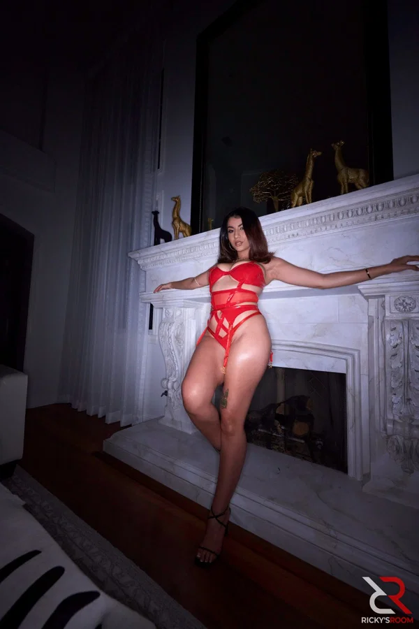 Hot Latina girl Roxie Sinner models sexy lingerie during non-nude action  - Latex, Latina, Lingerie, Fetish, Spreading, Brunette, Natural Tits, Big Tits, Ass, Babe  - Photo 13