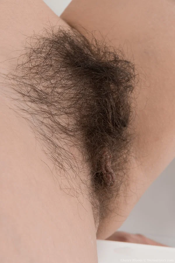 Brunette sweetheart Cherry Bloom undresses to expose her furry bush  - Hairy, Teen, Undressing, Spreading, Pussy, Amateur, Stockings, Close Up, Ass, High Heels  - Photo 11