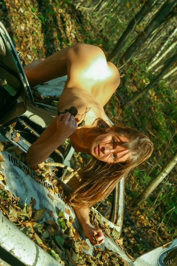 Leggy teen girl poses naked in the woods atop a wrecked vehicle  - Outdoor, Amateur, Teen, Petite, Beautiful, Tiny Tits, Armpit, Legs, Shaved, Pussy  - Photo 5