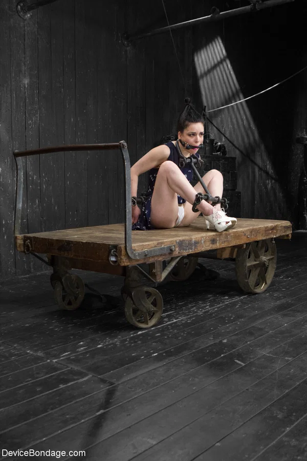 American babe Juliette March gets bound and fisted on a wooden wagon  - BDSM, Spanking, Bondage, MILF, Pretty, Face, Legs, Dress, High Heels, Feet  - Photo 5