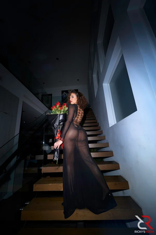 Brunette Willow Ryder poses in her sheer dress among a bunch of black men  - Gangbang, Hardcore, Non Nude, Brunette  - Photo 10
