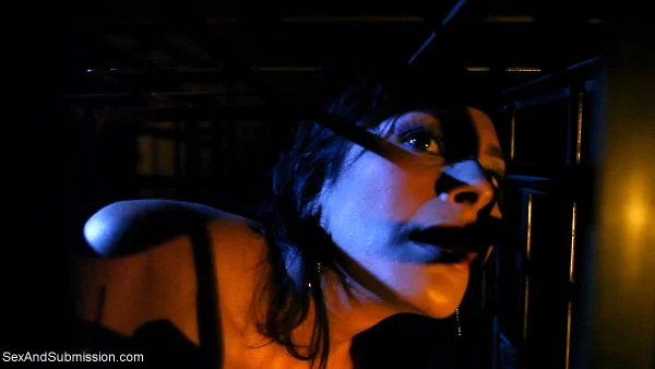 Submissive Latina Beretta James watches porn and gets toyed while tied up  - Bondage, Latina, BDSM, Skinny, Brunette  - Photo 5