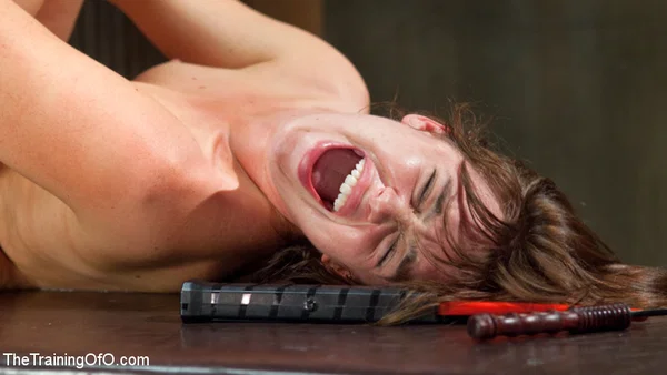 Beautiful girl Jodi Taylor is silenced with a ball gag during slave training  - Anal, Bondage, Close Up, BDSM, Ass Fucking, Hairy, Hardcore, Ass, Nipples, PAWG  - Photo 8