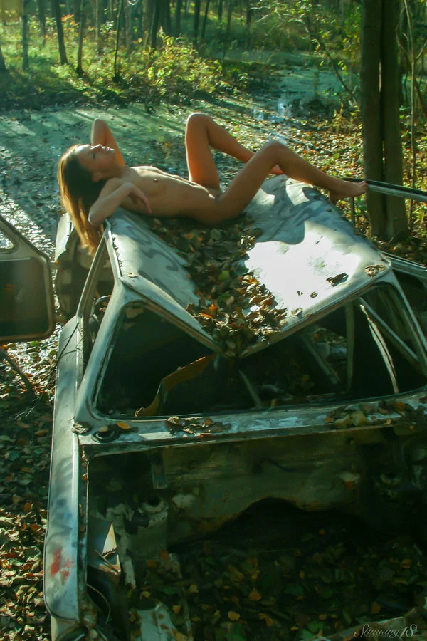 Leggy teen girl poses naked in the woods atop a wrecked vehicle  - Outdoor, Amateur, Teen, Petite, Beautiful, Tiny Tits, Armpit, Legs, Shaved, Pussy  - Photo 10