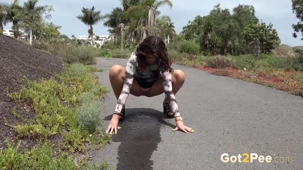 Hot girl Sexy Lexy squats for a piss on a paved road during the day  - Pissing, Public, Upskirt, Spreading, Outdoor, Pussy, Shaved, Skirt, Ass, PAWG  - Photo 13