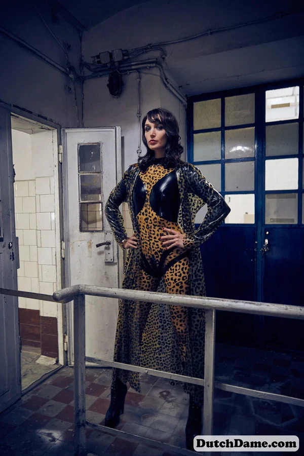Solo model strikes hot poses in full body leopard print costume  - Cosplay, Latex, Fetish, Spreading, Beautiful, Boots, Solo, Babe, High Heels, Brunette  - Photo 6