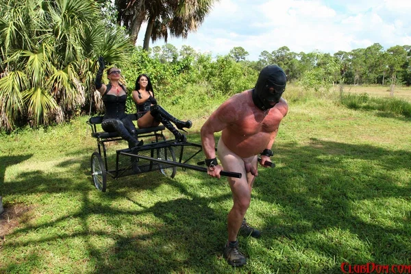 Femdoms Esmi Lee & Venus give a lesson to their naked muscular slave outdoors  - Mature, Femdom, MILF, Glasses, Fetish, BDSM, Bondage, High Heels, Outdoor, Legs  - Photo 12