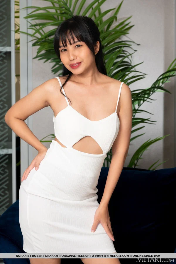Asian teen Norah strips naked during a solo show afore a mirror  - Asian, Pussy, Spreading, Ass, Teen, Panties, Glamour, Shaved, Skirt, Tiny Tits  - Photo 1
