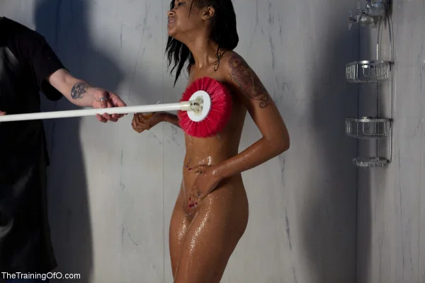 Ebony chick Skin Diamond has her asshole playfully flogged by her dom  - Ebony, Wet, BDSM, Fingering, Bath, Bondage, African, Tattoo, Pussy, Natural Tits  - Photo 2