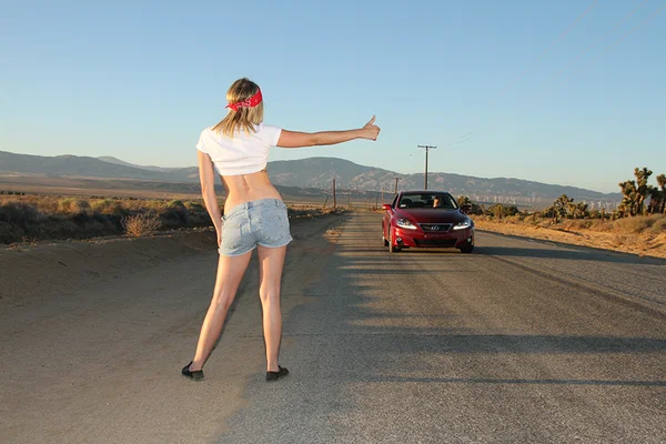 Teenage hitchhiker Lia Lor is up to pay for a lift with her sweet pussy  - Teen, Outdoor, Big Tits, Shorts, Reality, Ass, Clothed, Natural Tits, Close Up, Hairy  - Photo 9