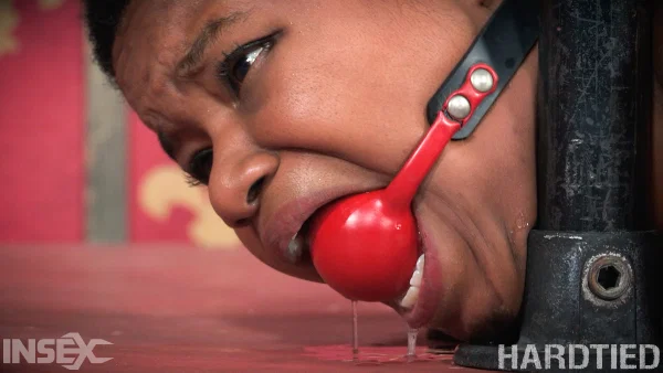 Hot slave Kahlista Stonem gets gagged, taped and tit tied in brutal BDSM  - Ebony, Bondage, Teen, Nipples, Pussy, Ass, Spreading, Big Tits, Black, Shorts  - Photo 3