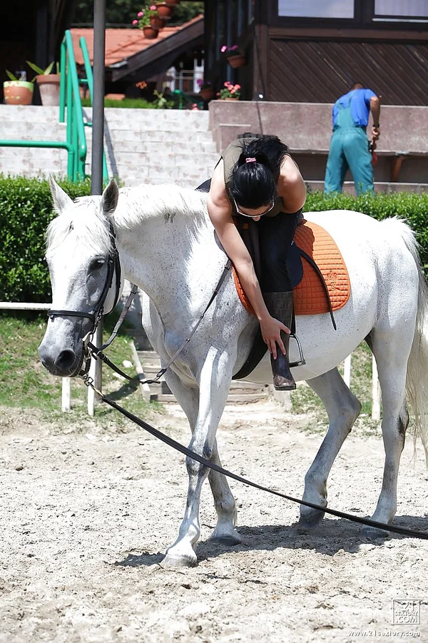 Pornstar Aletta Ocean is riding a horse outdoor in glasses  - Outdoor, Pornstar, Glasses  - Photo 4