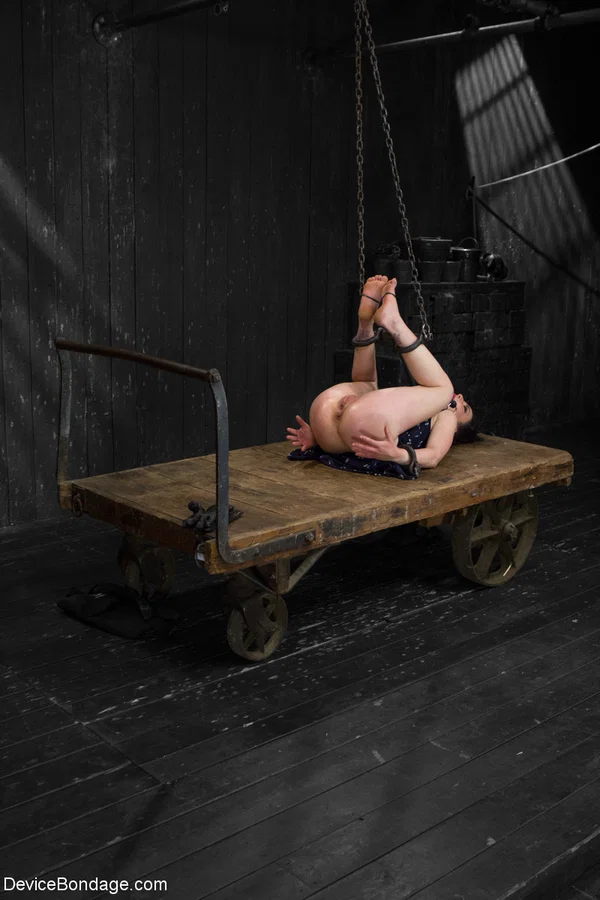 American babe Juliette March gets bound and fisted on a wooden wagon  - BDSM, Spanking, Bondage, MILF, Pretty, Face, Legs, Dress, High Heels, Feet  - Photo 20