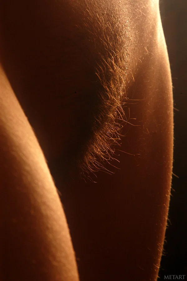 Met Art starring Cassandra A Sex Gallery  - Hairy, Teen, Cute, Glamour, Model, Blonde, Babe, Beautiful, Solo  - Photo 10