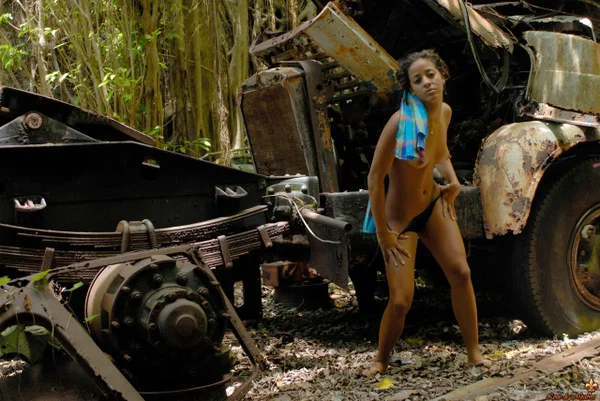 Solo girl with perky tits poses nude afore the remains of heavy equipment  - Tiny Tits, Outdoor, Model, Panties, Ass, Shaved, Nipples, Legs, Babe, Beautiful  - Photo 6