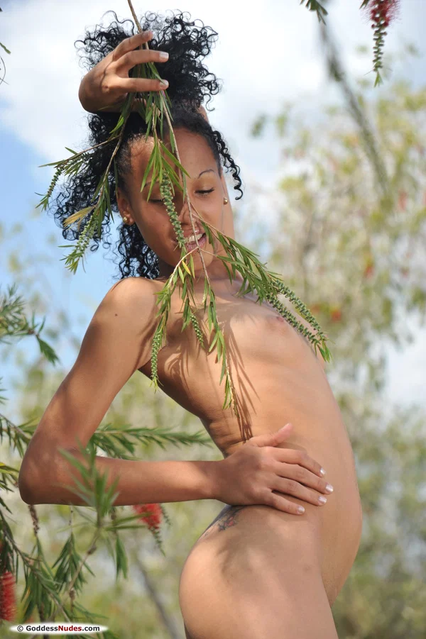 Goddess Nudes featuring Vanessa L Hot XXX  - Beautiful, Nipples, Tiny Tits, Outdoor, Curly, Teen, Skinny, Pussy, Shaved, Glamour  - Photo 5