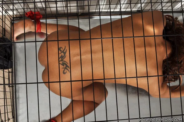 Black girl with a tramp stamp Kiki Mina is kept locked in a dog cage  - Prison, Ebony, POV, BDSM, Fetish, Ass, Black, African, Bondage, Tattoo  - Photo 8