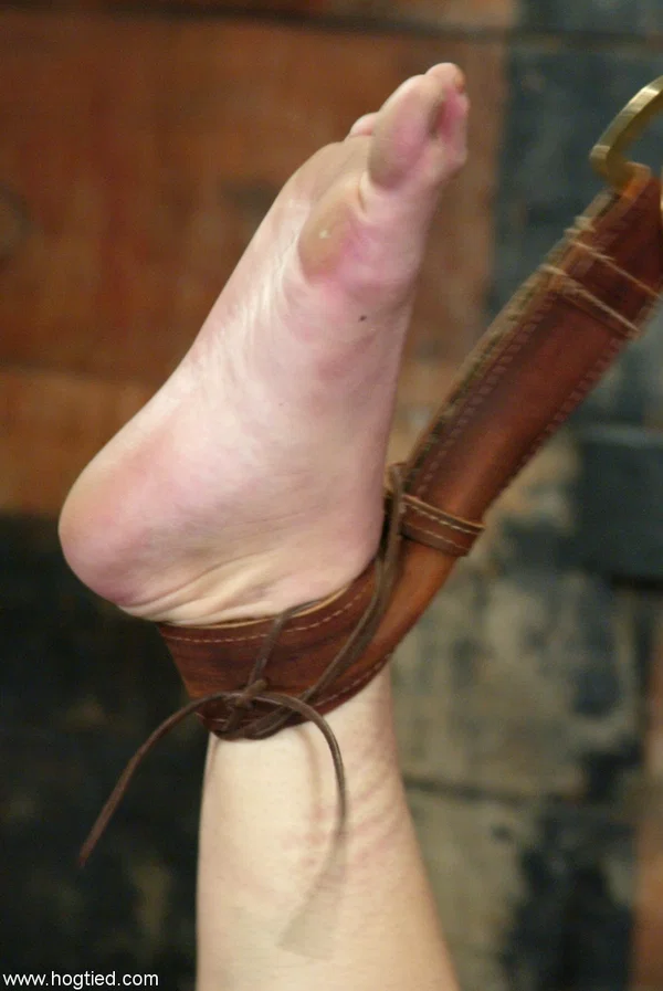 Submissive slut Harmony gets toyed to orgasm while hanging from the ceiling  - Bondage, BDSM  - Photo 1
