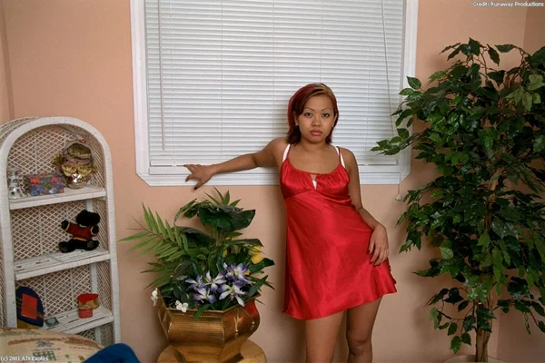 Pretty Asian amateur Gia slipping out of red nightie and lace lingerie  - Asian, Amateur, Panties, Close Up, Babe, Ass, Lingerie, Tiny Tits, Pretty, Pussy  - Photo 1
