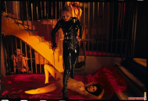 Horny babes in sexy lingerie strip and rub each other's cunt in high heels  - Latex, Bondage, BDSM, Fetish, MILF, Czech, Stockings, Lesbian, Sexy, Facesitting  - Photo 12