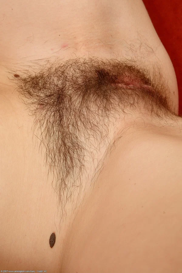 Brunette teen Alexandra exposes her hard nips & toys her hairy pussy in a solo  - Hairy, College, Spreading, Petite, Amateur, Sexy, Skirt, Close Up, Cameltoe, Beautiful  - Photo 13