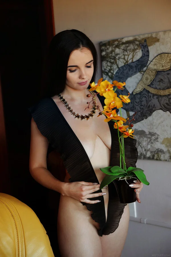 Met Art featuring Maible Naked Porn Pics  - Beautiful, Cute, Model, Babe, Teen, Glamour, Sexy, Solo  - Photo 1