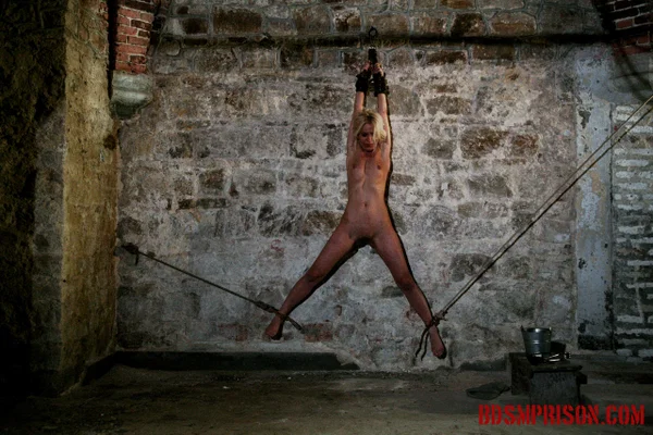Naked blonde Mirela is whipped by captors while chained to cellar wall  - Bondage, BDSM, Tiny Tits, Blindfold, Fingering, Spanking, Threesome, Blonde, Legs, Spreading  - Photo 5