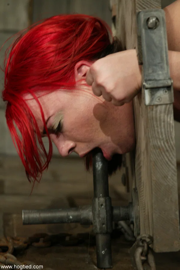 Redheaded MILF Dana DeArmond gets her twat stuffed in a hardcore BDSM session  - Bondage, Couple, BDSM  - Photo 21