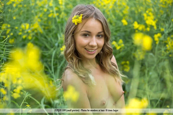 Sweet girl Linda A doffs her sun dress for great nude poses in a mustard field  - Outdoor, Babe, Pussy, European, Blonde, Glamour, Ass, Close Up, Spreading, Beautiful  - Photo 4