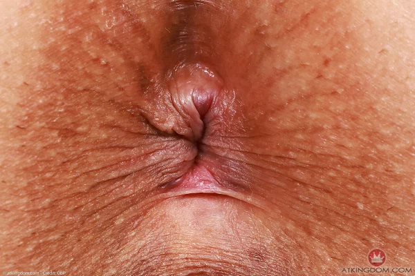 ATK Exotics Sex Pictures  - Latina, Amateur, Cute, Teen  - Photo 21