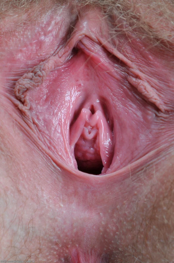 ATK Archives starring Benji Sex Gallery  - Hairy, Pussy, Amateur, Close Up, Spreading, Redhead, Babe, Beautiful, Ass, Big Tits  - Photo 13