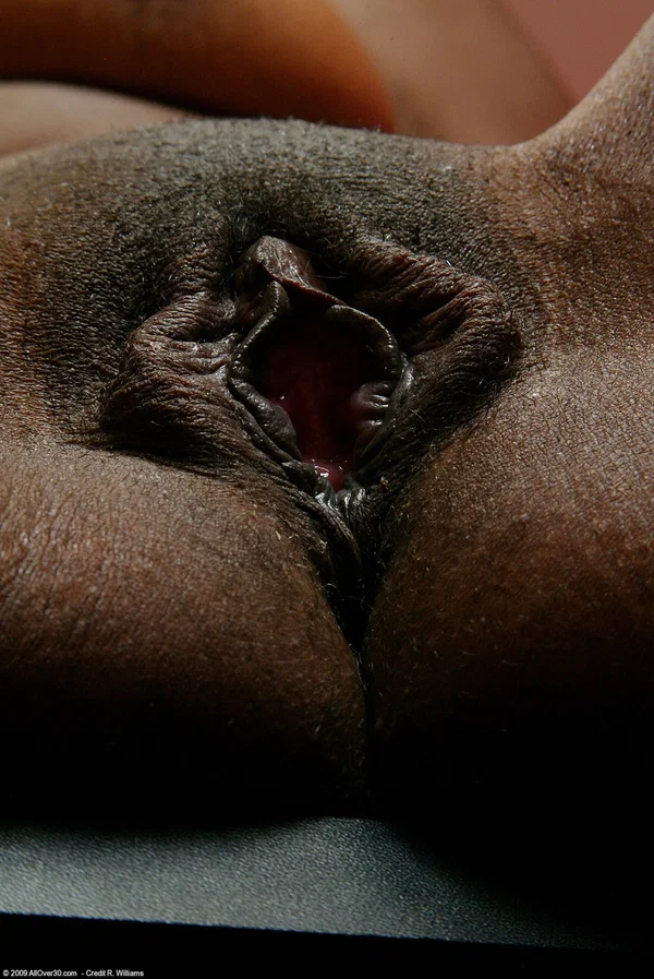 Hot ebony MILF Shante strips at the office & shows her big ass & hairy cunt  - Ebony, African, Pussy, Face, Pantyhose, Office, Amateur, Ass, Uniform, Upskirt  - Photo 19