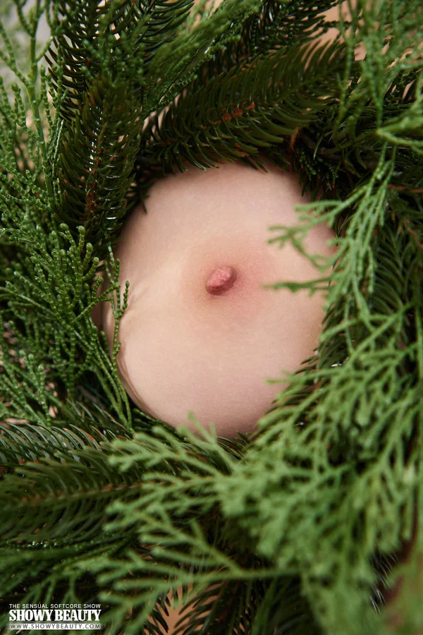 Gorgeous teen Toree gets completely naked after decorating a Christmas tree  - Christmas, Teen, Amateur, Lingerie, Tiny Tits, Pussy, Spreading, Nipples, Legs, Babe  - Photo 20