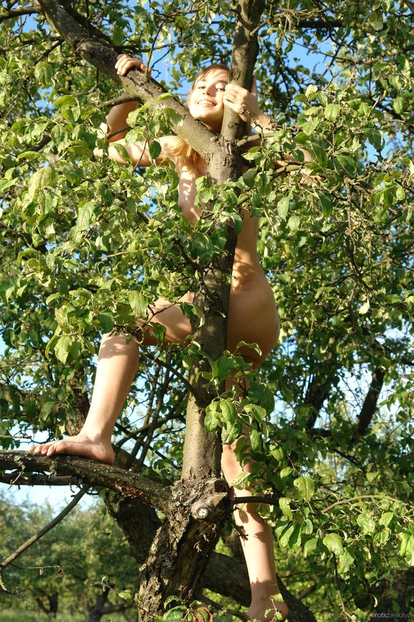 Young looking girl climbs a tree while totally naked in the woods  - Outdoor, Teen, Glamour, Ass, Tiny Tits, Spreading, Shaved, Babe, Feet, Model  - Photo 7