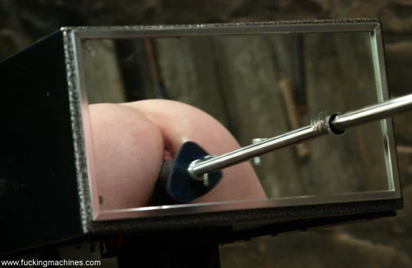 Fucking Machines performed by Ariel X Naked Porn Pics  - BDSM, Face, Pussy, Bondage, Beautiful, Dildo, Babe, Ass, Close Up, Anal  - Photo 4