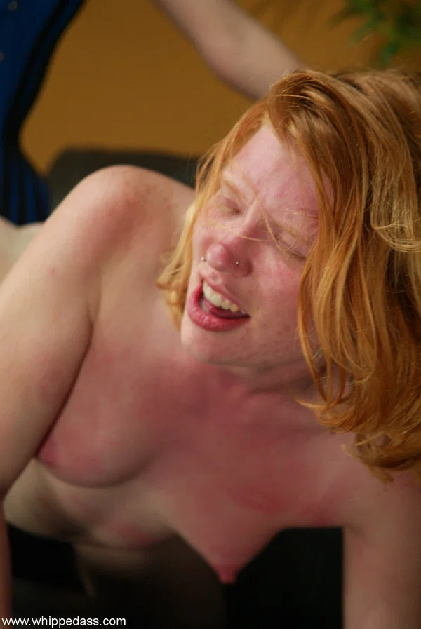 Whipped Ass starring Chanta Rose, Madison Young Naked XXX  - Redhead, Bondage, MILF, Lesbian, Femdom, BDSM, Petite, Blonde, White  - Photo 11