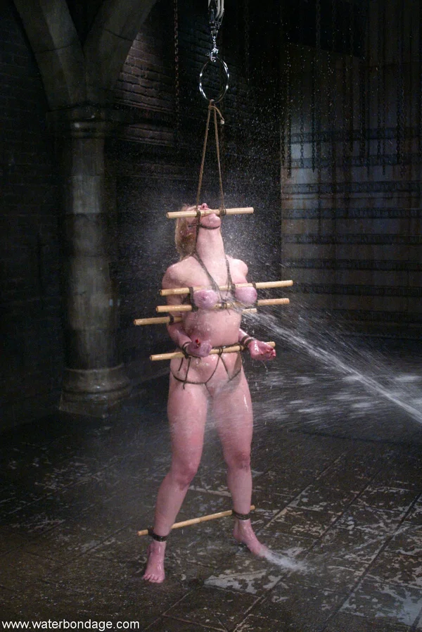 Water Bondage starring Dee Williams Hot Porn  - BDSM, Fetish, Wet, MILF, Big Tits, Bondage, Amateur, Redhead, Sexy, Face  - Photo 14