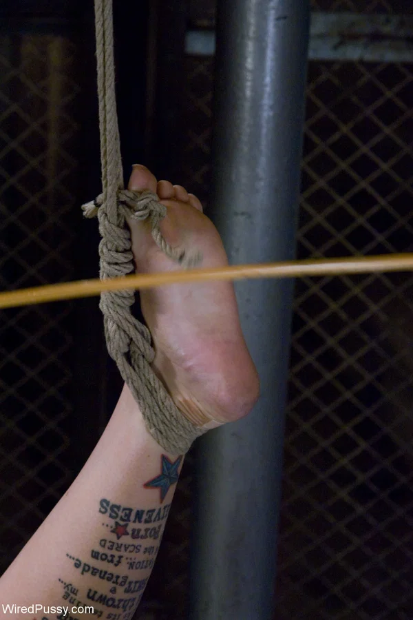 Wired Pussy performed by Princess Donna Dolore, Sasha Knox XXX Pics  - MILF, Bondage, BDSM, Fisting, Lesbian, Pussy, Strapon, Petite, Thick, Femdom  - Photo 4