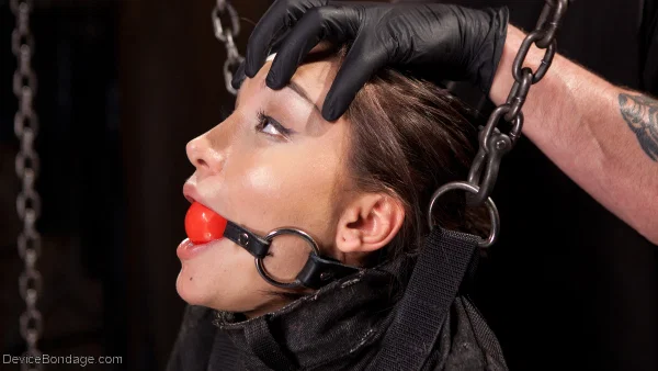 Hot sub Gabriella Paltrova gets whipped & toyed by The Pope in metal bondage  - Sexy, MILF, Bondage, Petite, Fetish, Dildo, BDSM, Skinny, Pussy, Face  - Photo 3
