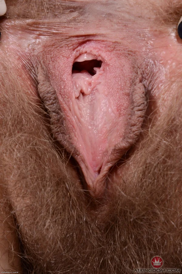Lingerie-clad hippie Felicia Fisher showcasing her hairy vulva on the sofa  - Big Clit, Hairy, Ass, Close Up, Pussy, Amateur, Stockings, Feet, Teen, Blonde  - Photo 21