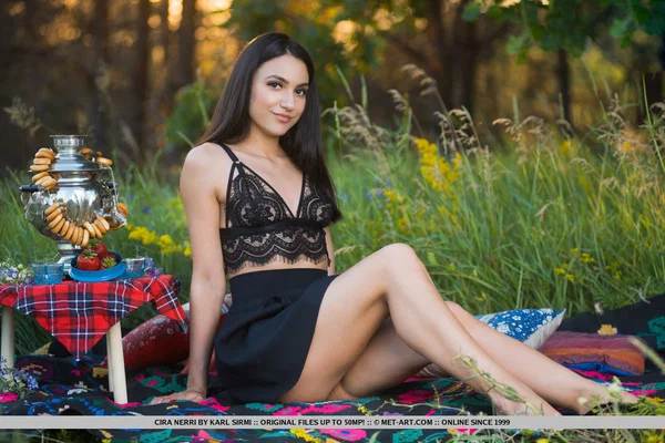 Nice teen Cira Nerri eats berries before getting naked on a picnic blanket  - Outdoor, Teen, Brunette, Spreading, Pussy, Feet, Shaved, Upskirt, European, Ass  - Photo 1